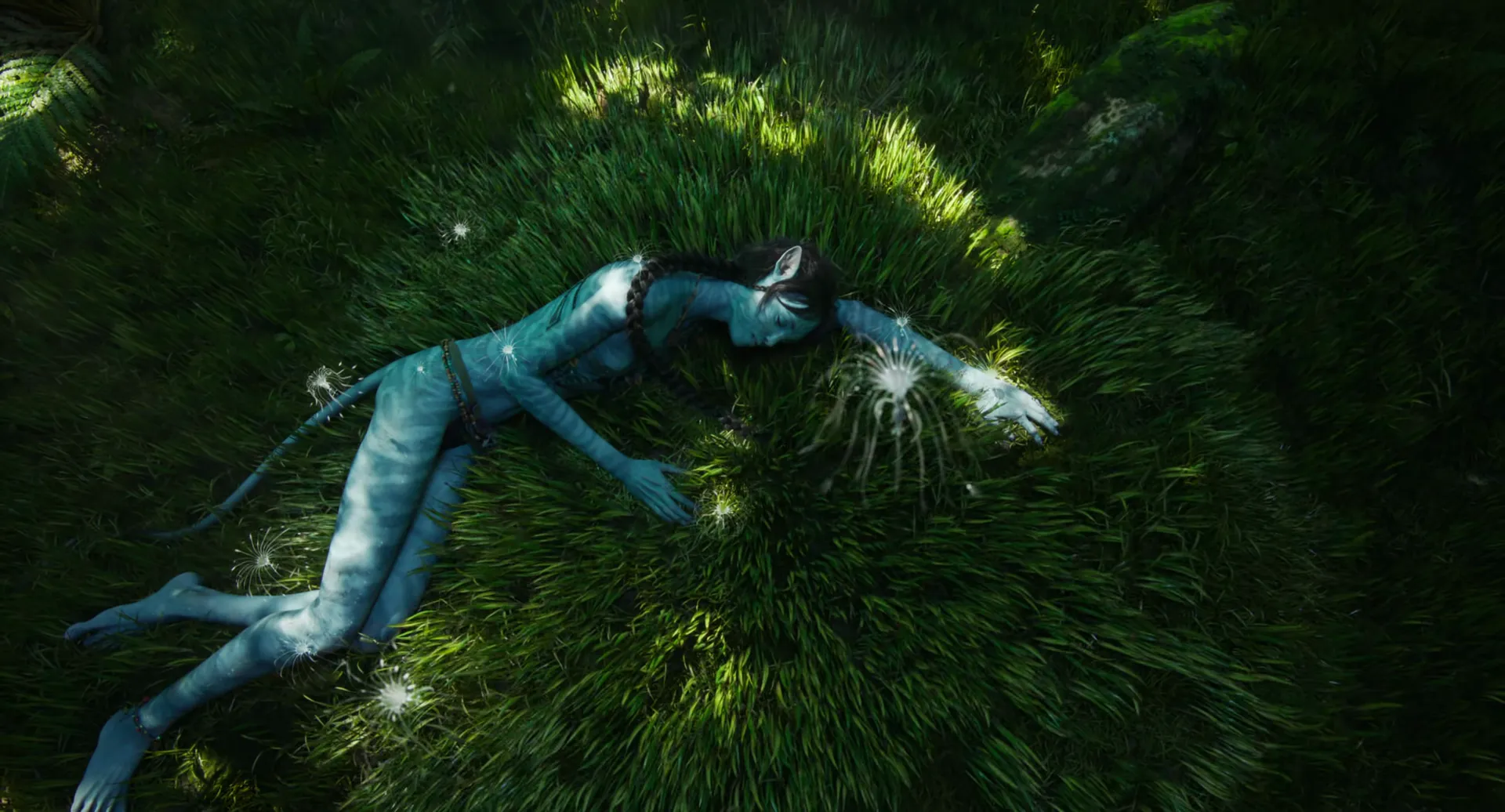 avatar2-2