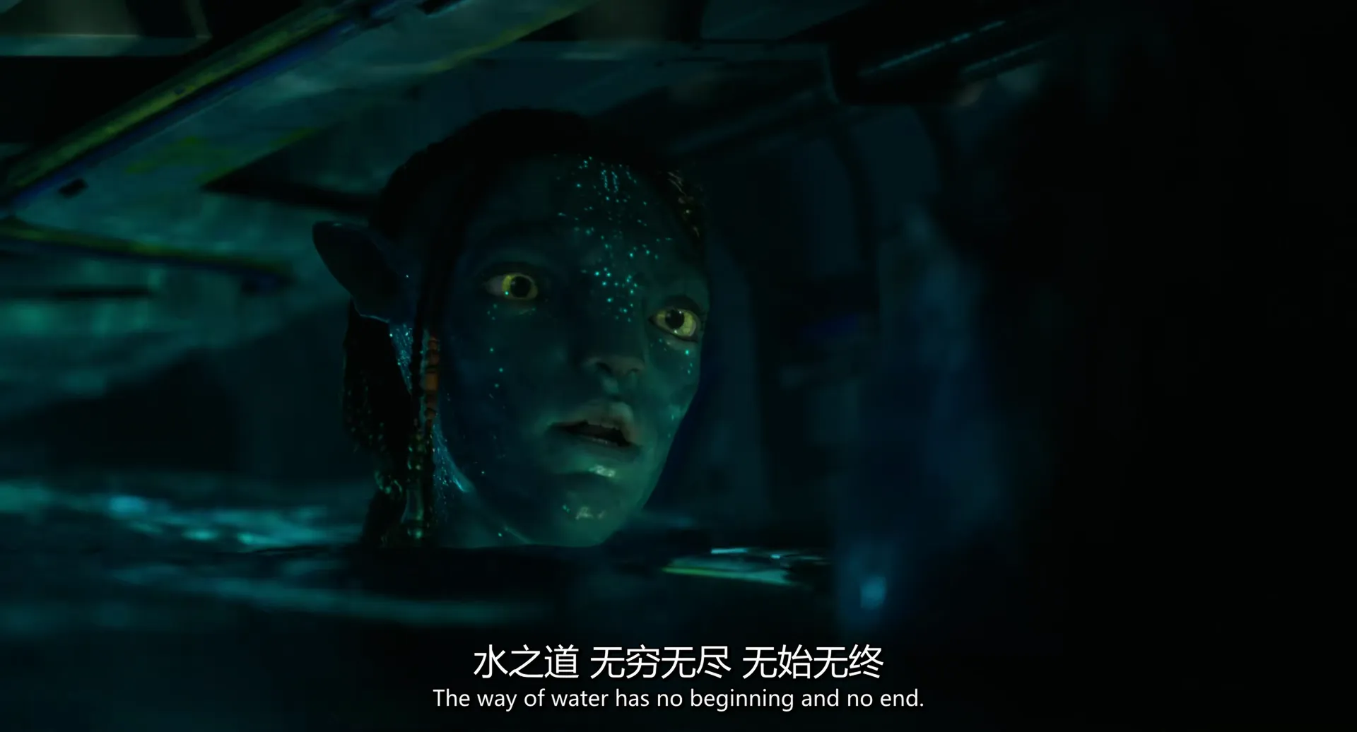 avatar2-20